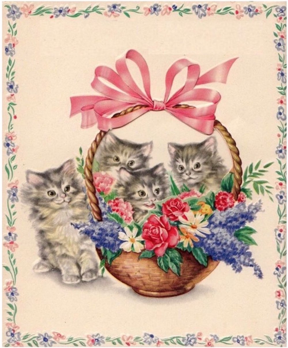 Открытка с днём рождения с котом