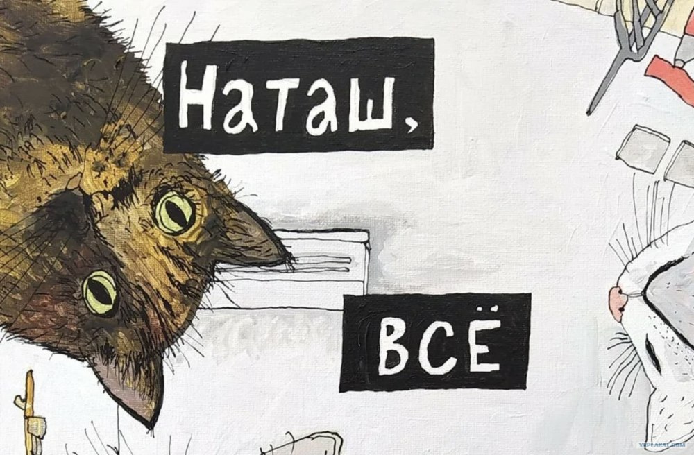 С днем рождения кот