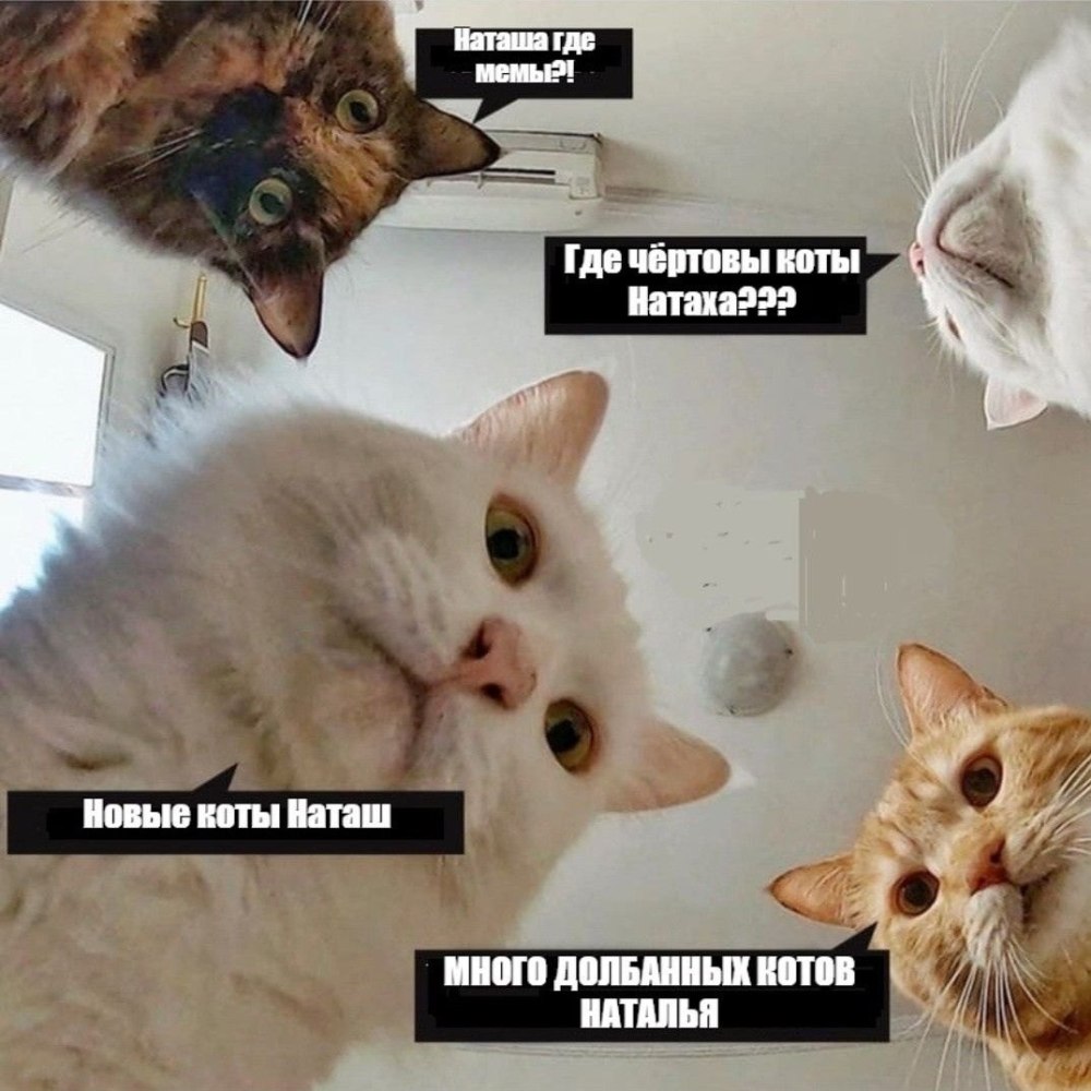 Наташа вставай