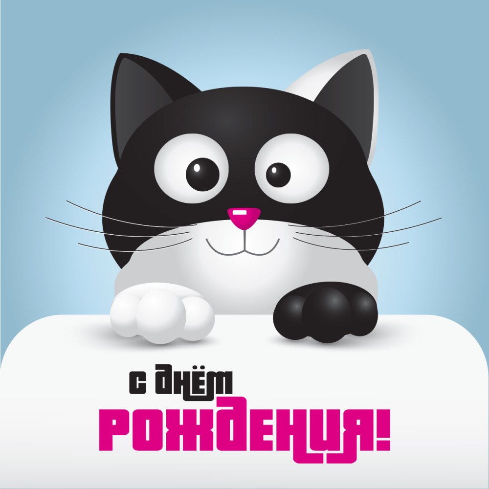 Котик в колпаке с тортиком
