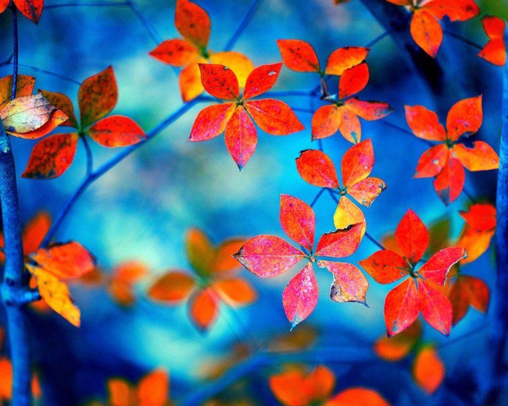 Сентябрь природа
