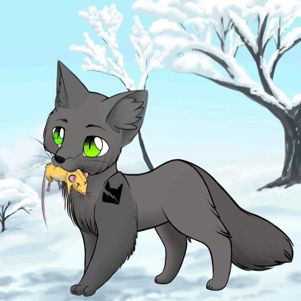 Коты Воители Крутобок и клубок