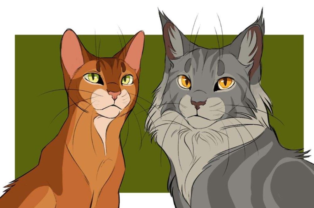 Коты Воители арт Крутобок