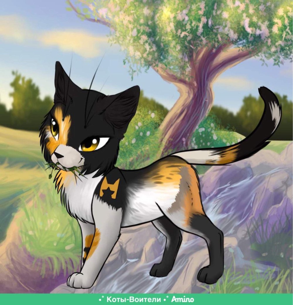 Ravenpaw Warrior Cats