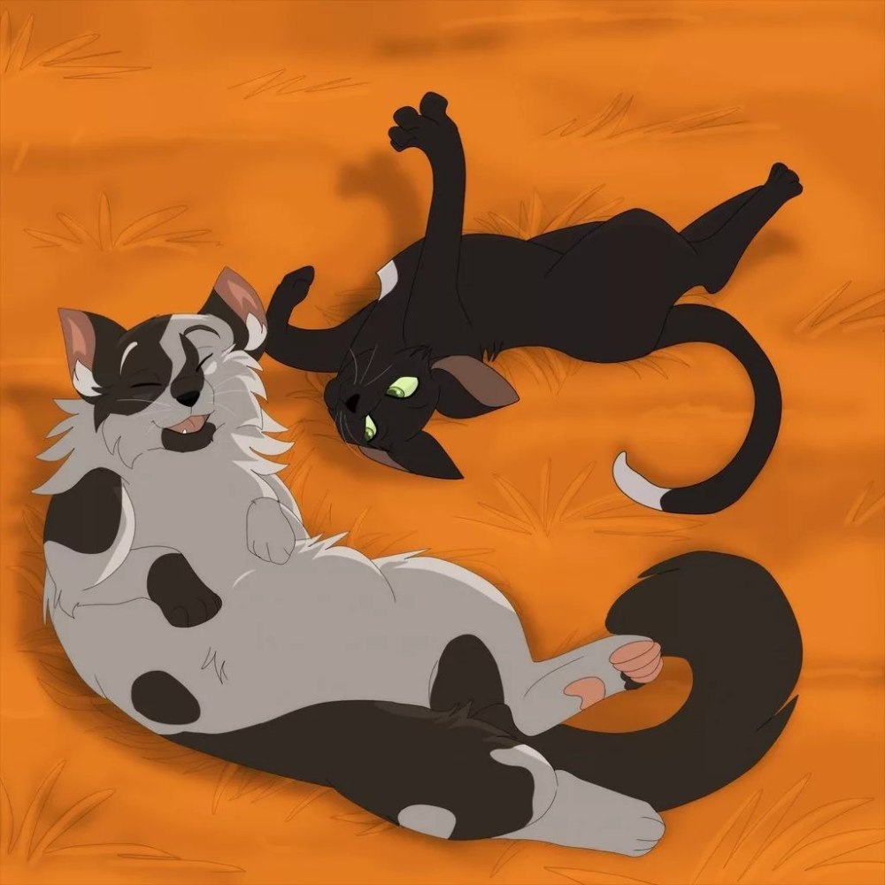 Коты Воители коготь