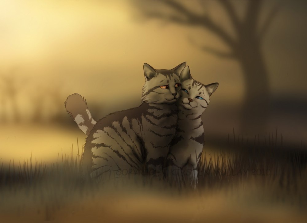 Коты Воители Серокрыл