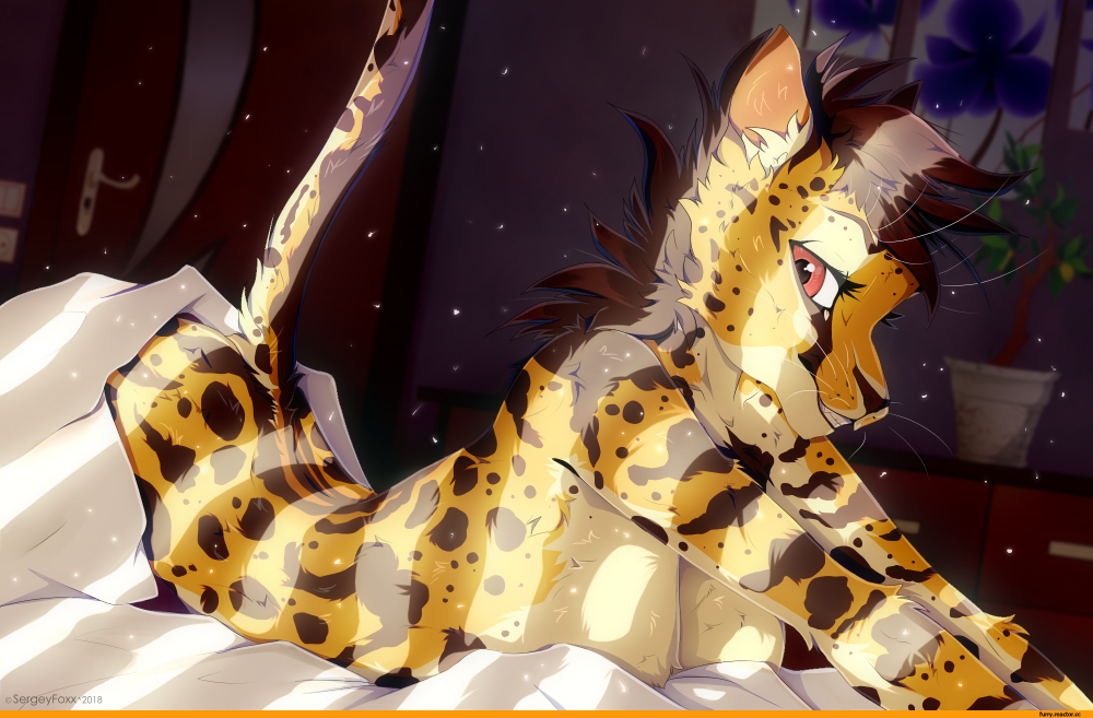 Furry леопард