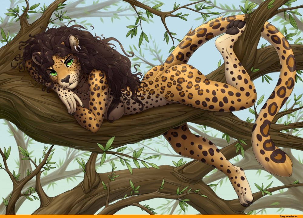 Furotica Gepard