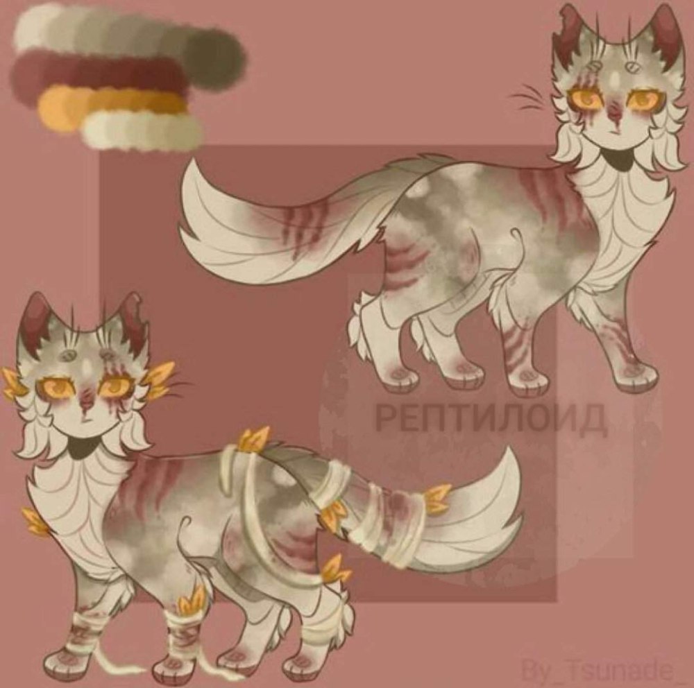 Коты Воители окрасы референс