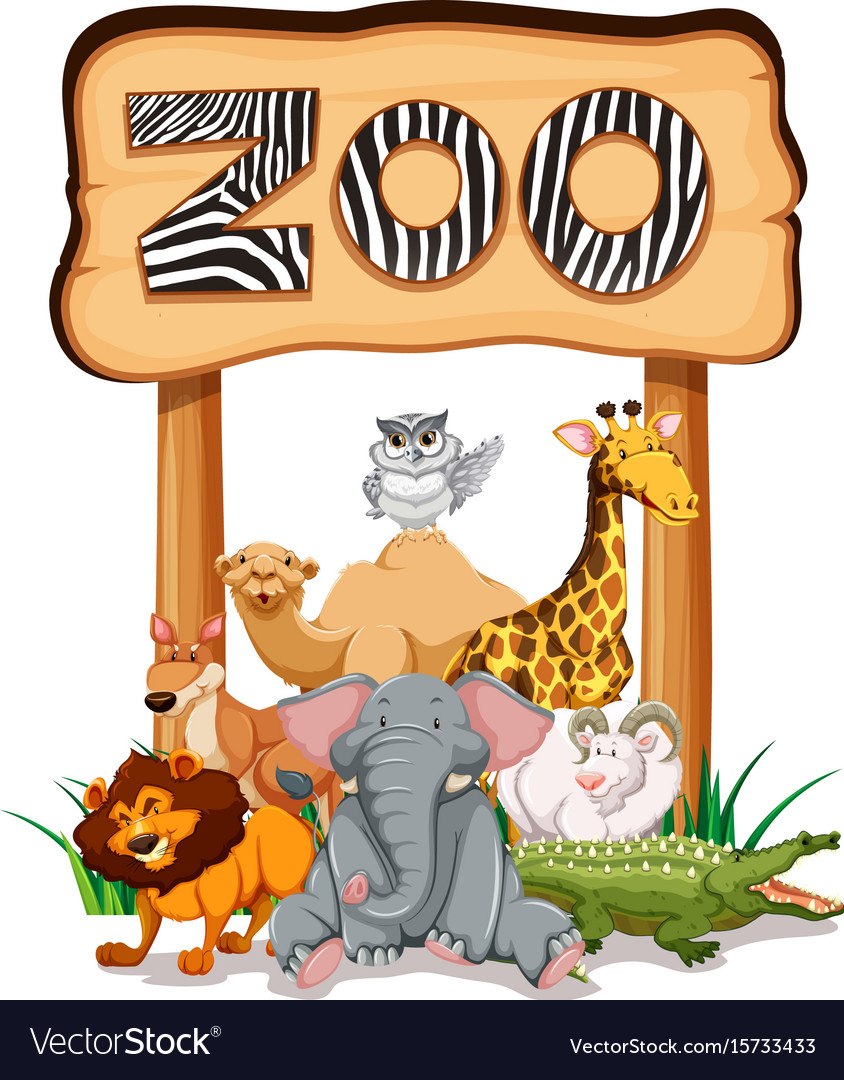 Зоопарк cartoon
