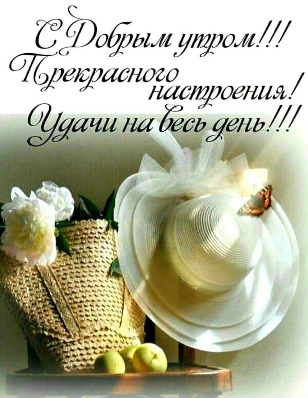 Хорошего дня и отличного настроения подруге