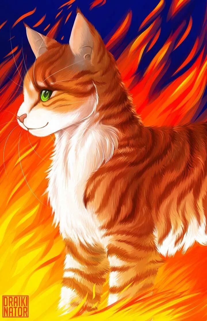 Коты Воители огни звезд