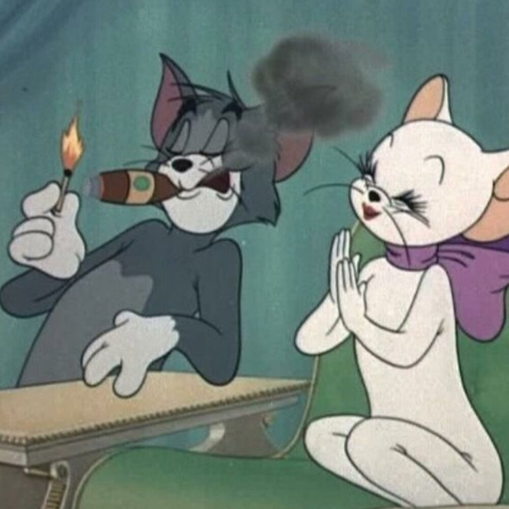 Кот из Тома и Джерри