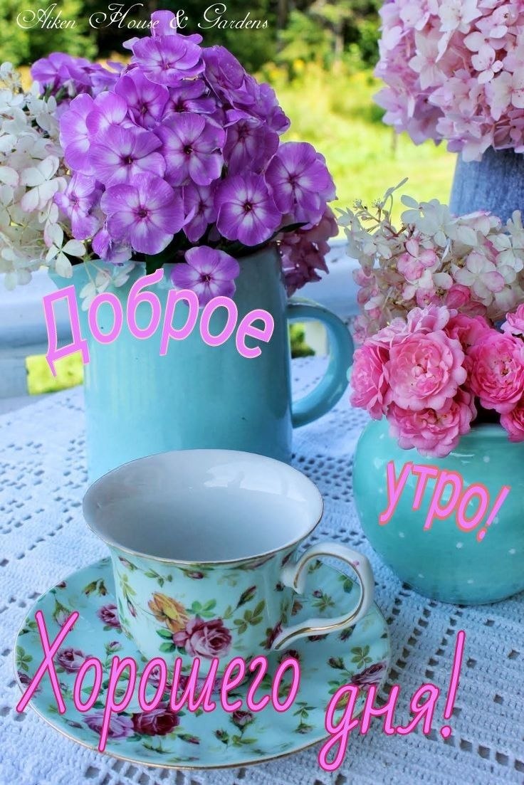 Лаванда рн7