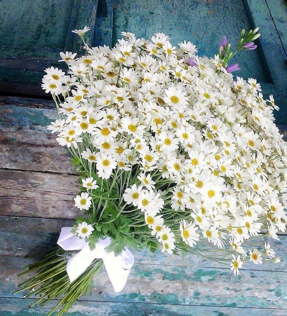 Гипсофилы и ромашки букет