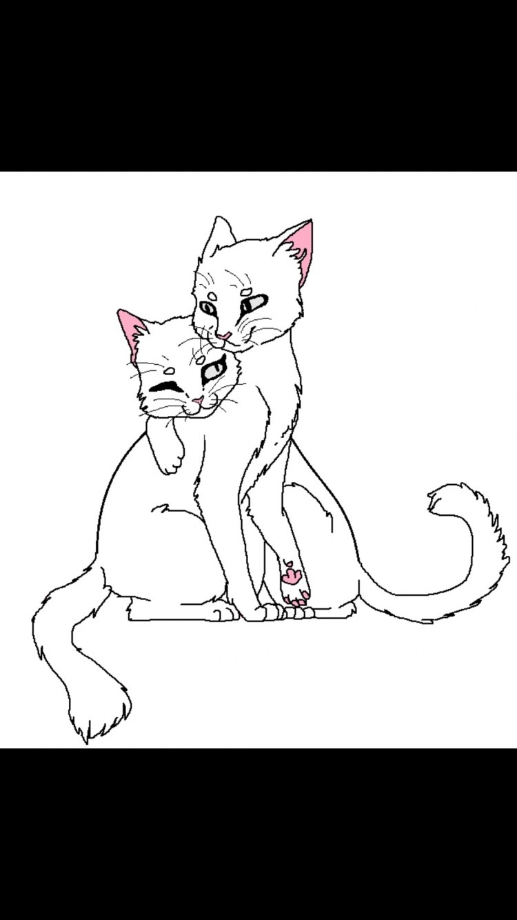 Лайн котов воителей для САИ