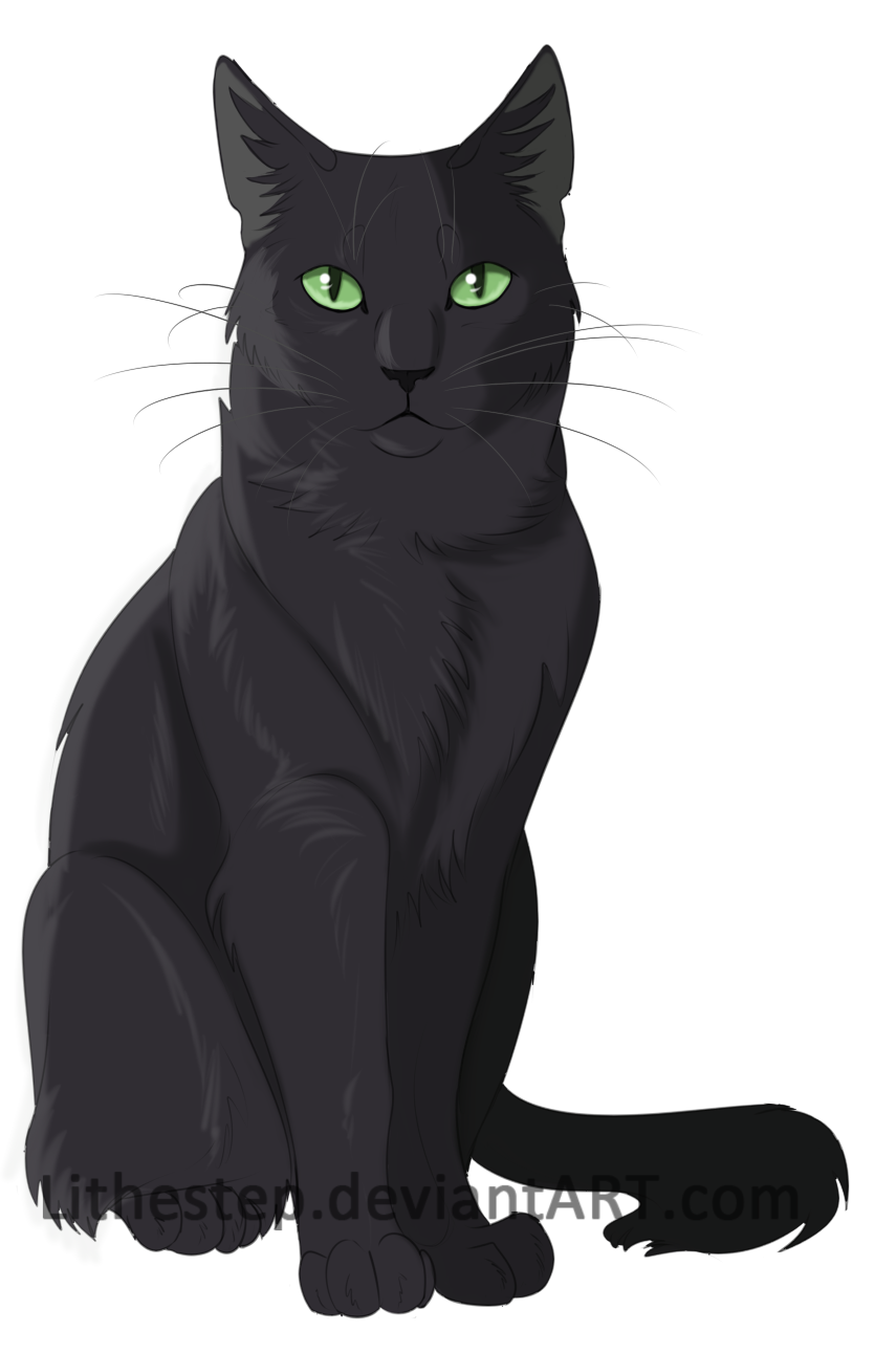 Коты Воители Черногривка
