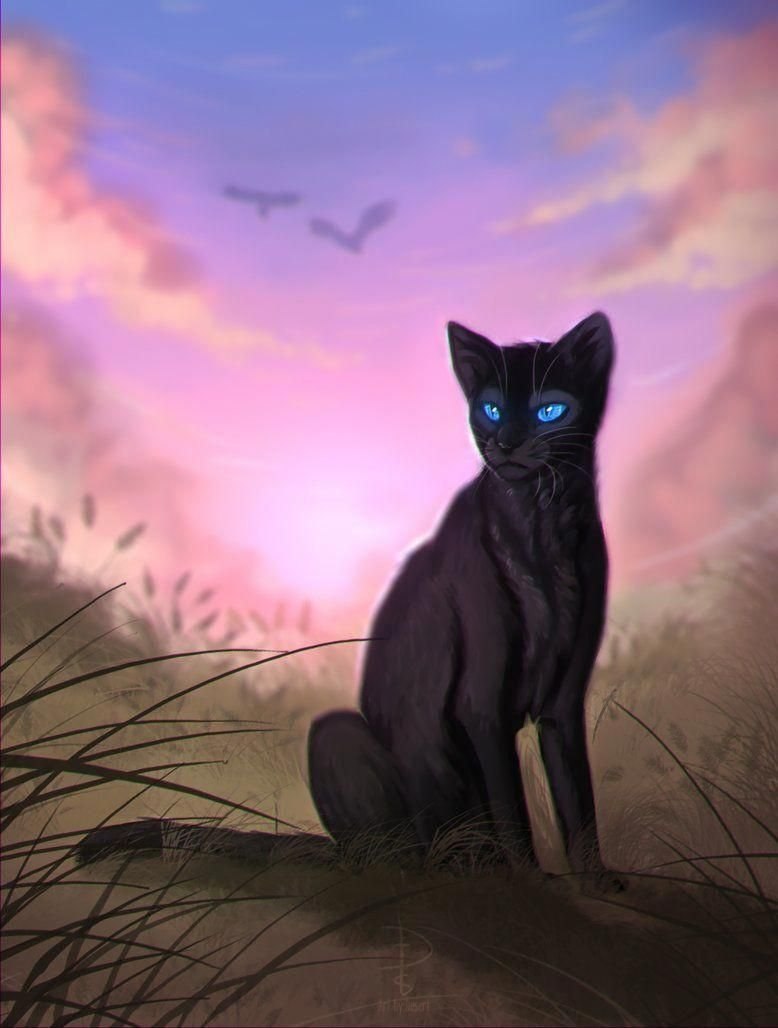Коты Воители Грач