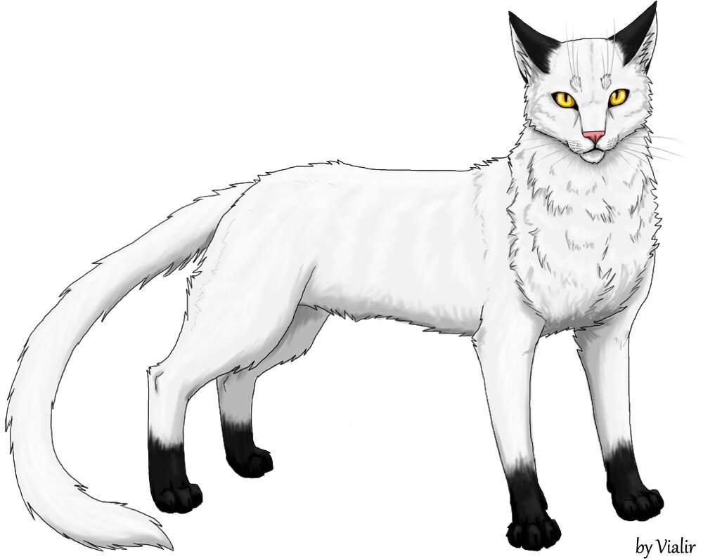 Коты Воители частокол