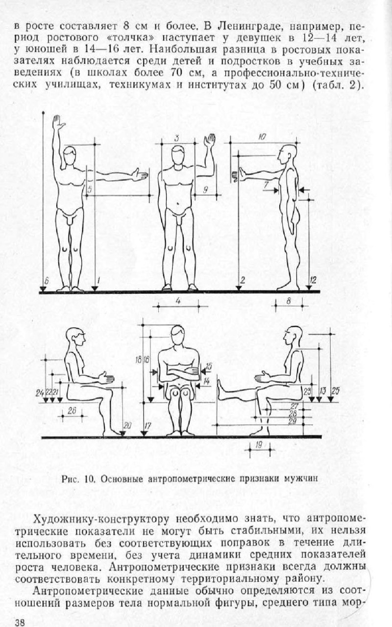 Эргономика фигуры