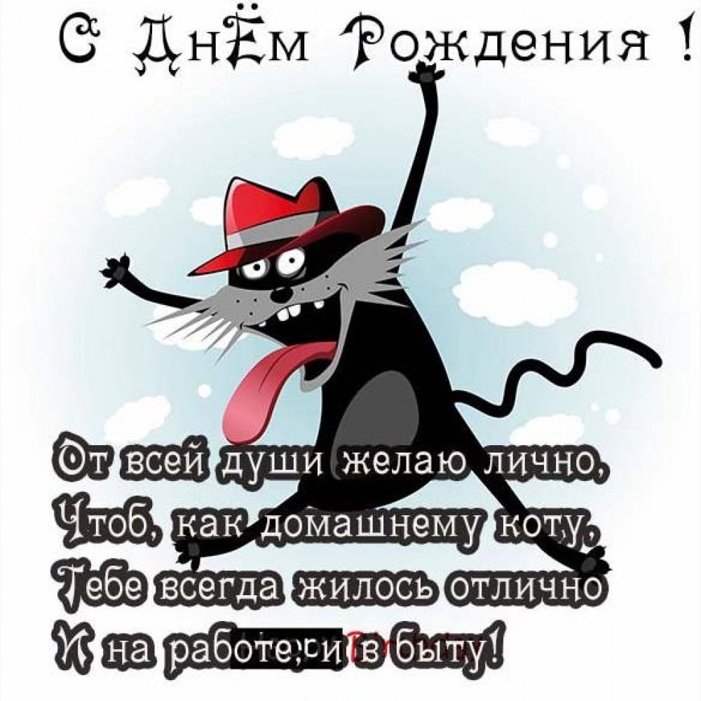 Прикольные поздравления с днем рождения