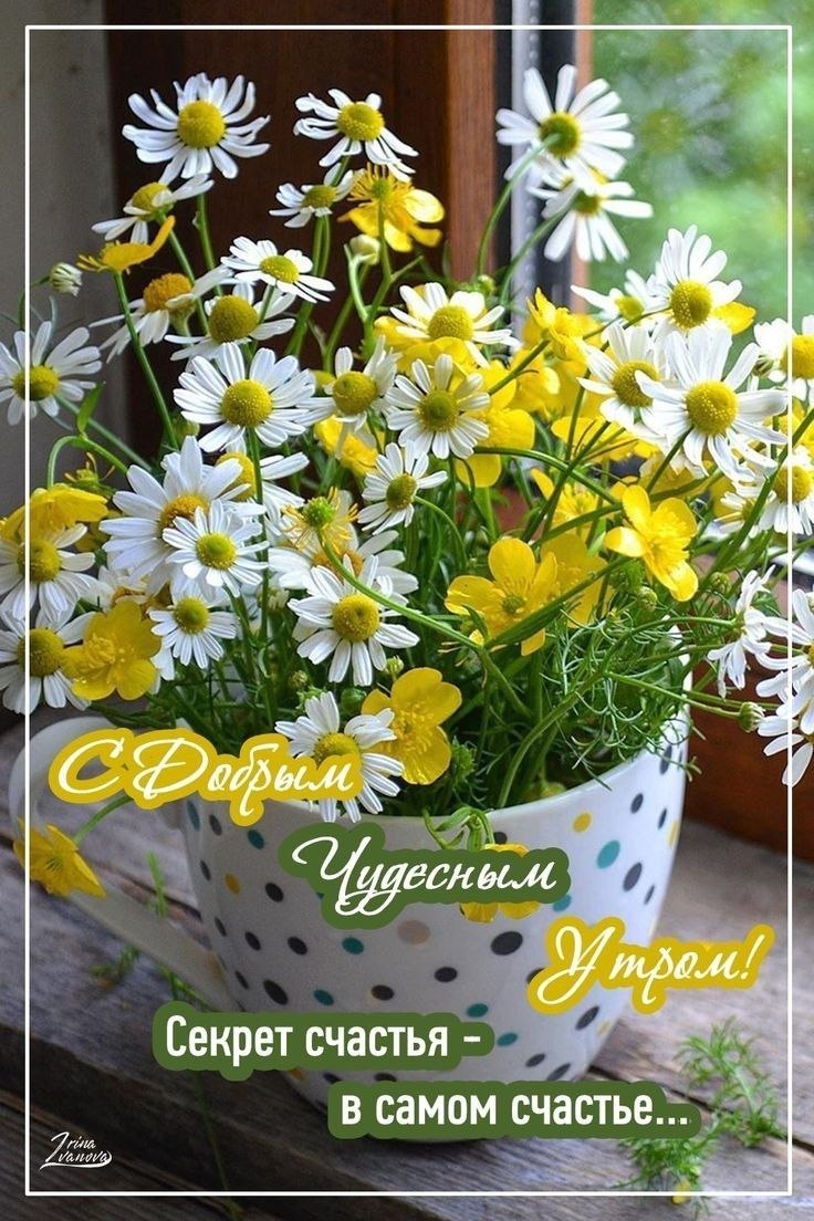 Пожелание доброго утра цветы