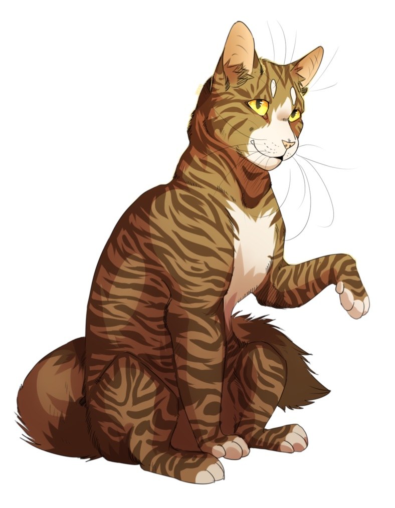 Коты Воители Листвичка