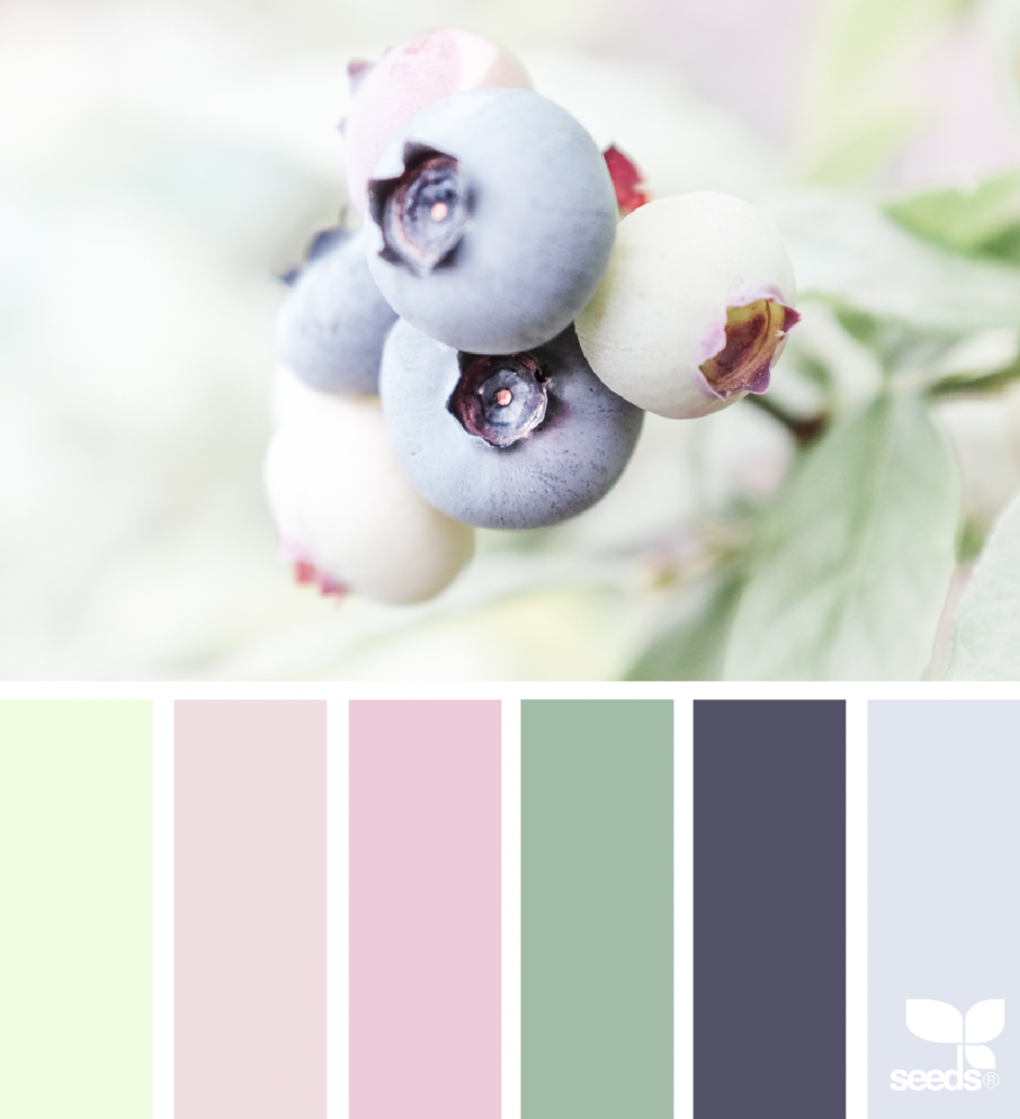 MLP Rarity Color Guide