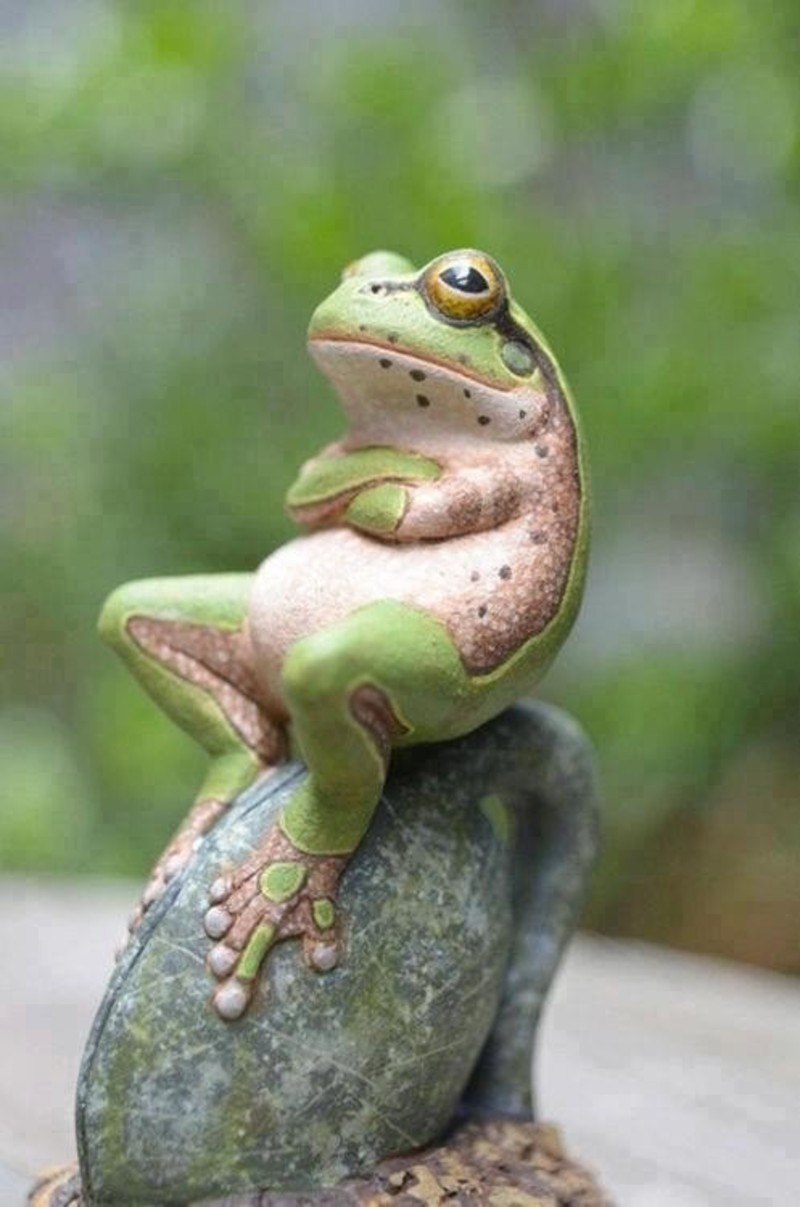 Боевой кот