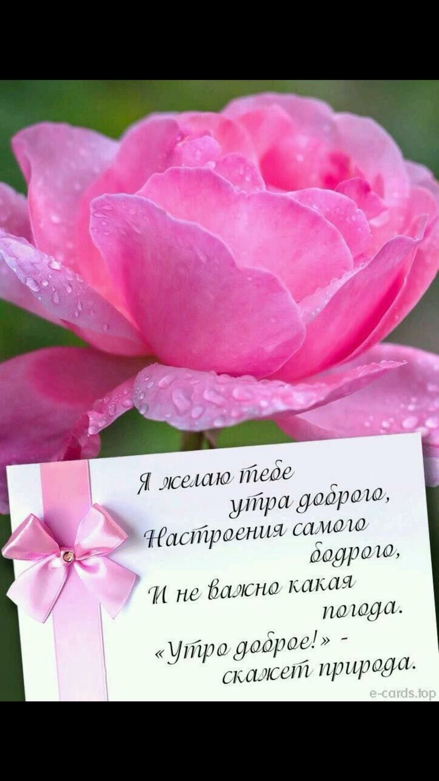 Хорошего понедельника и удачной недели