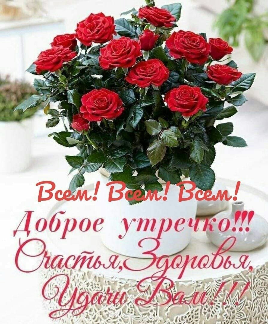 Спасибо Светочка