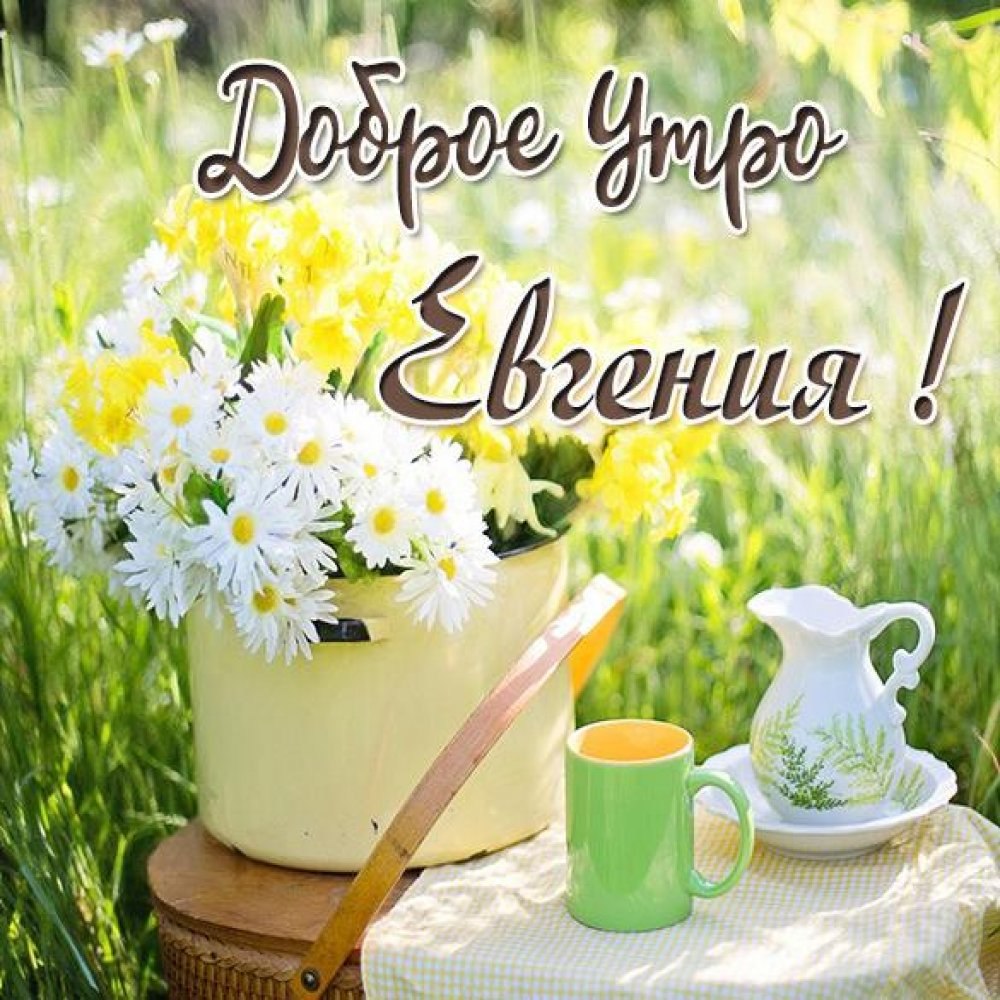 Доброе утро принцесса