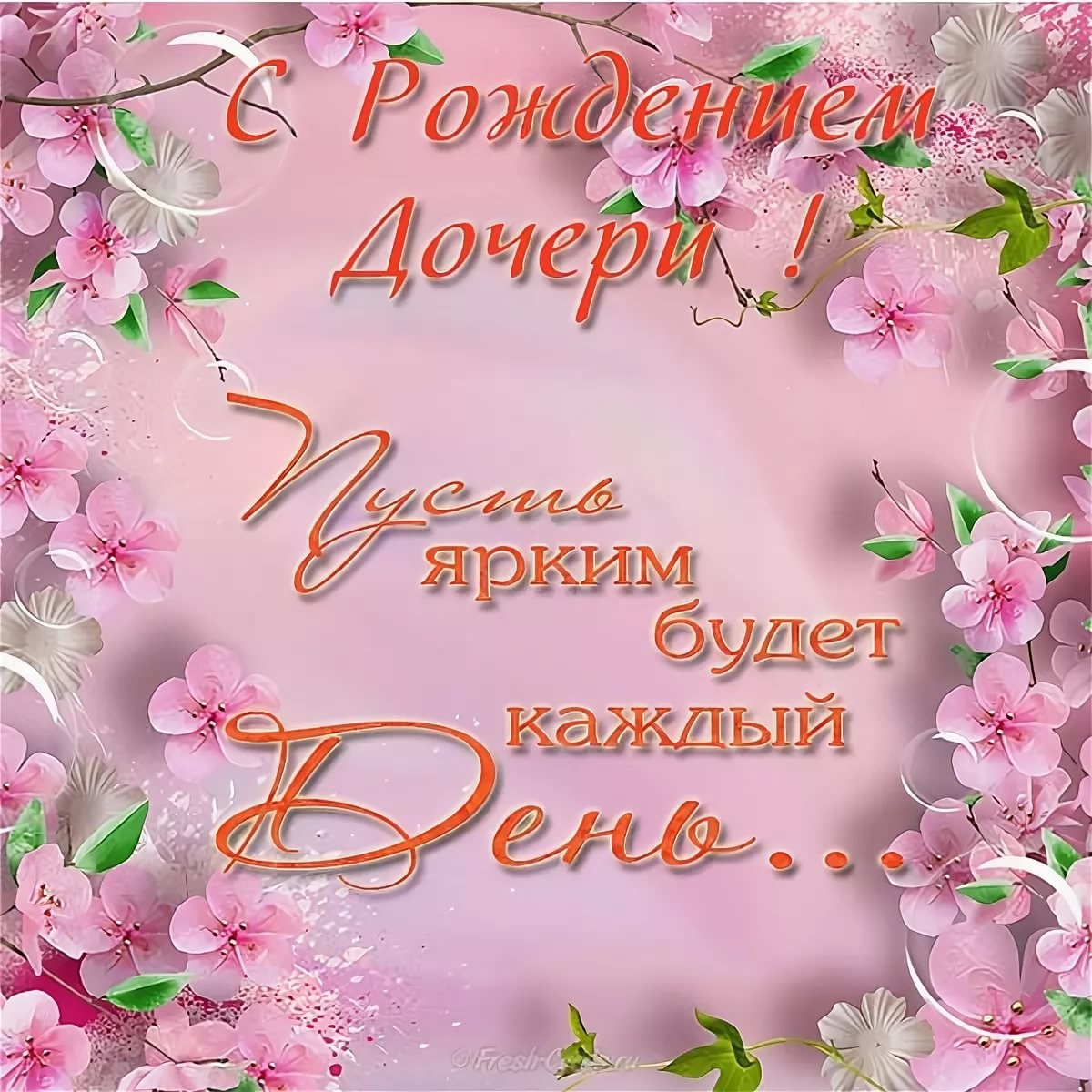  Zefirka club 