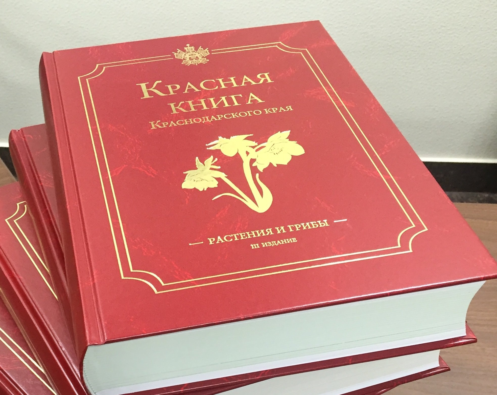 Красная Книга Купить В Спб