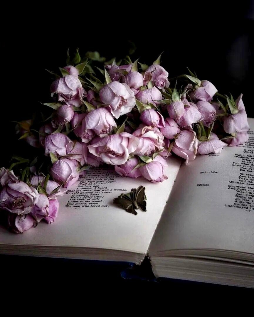 Эстетика книг и цветов