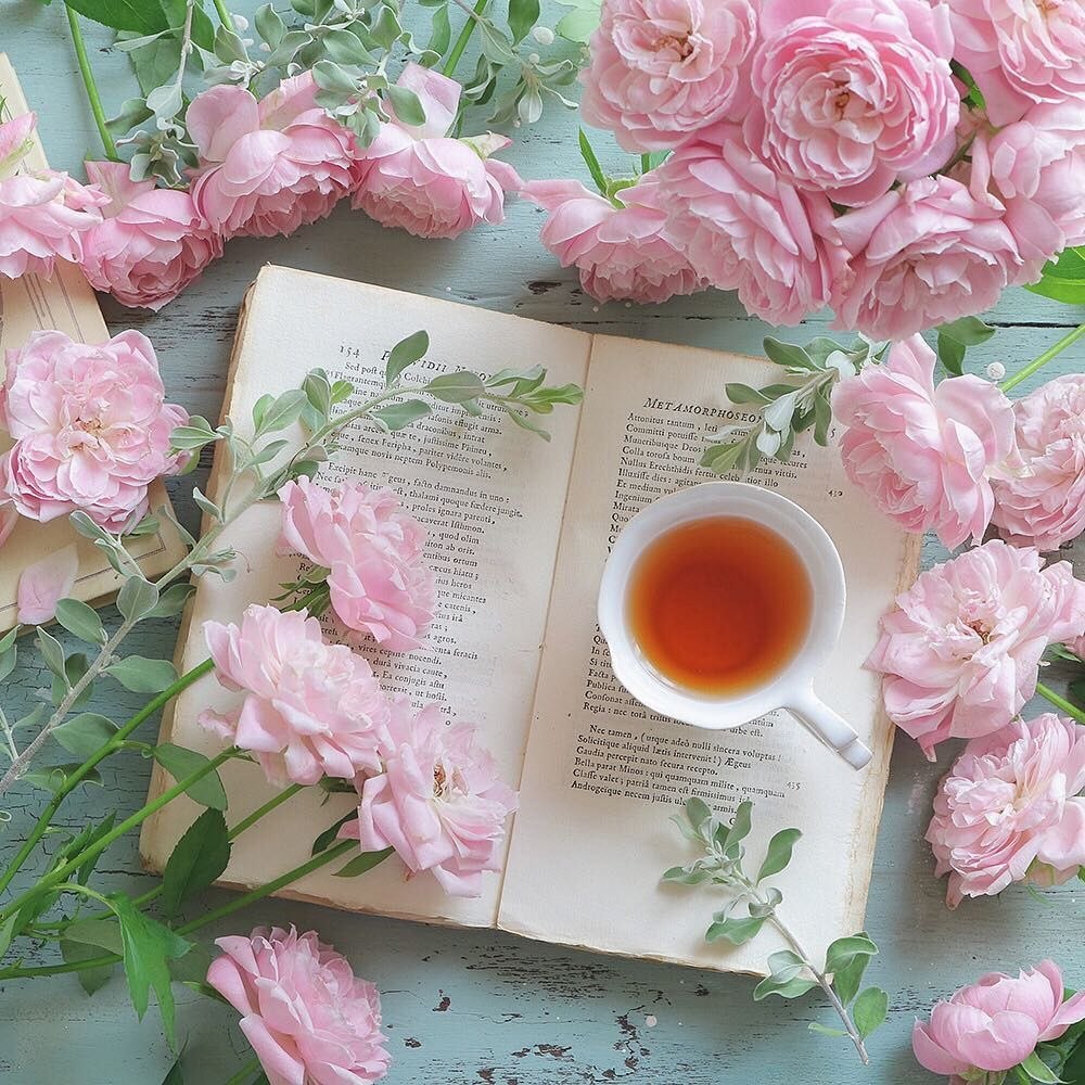 Стопка книг