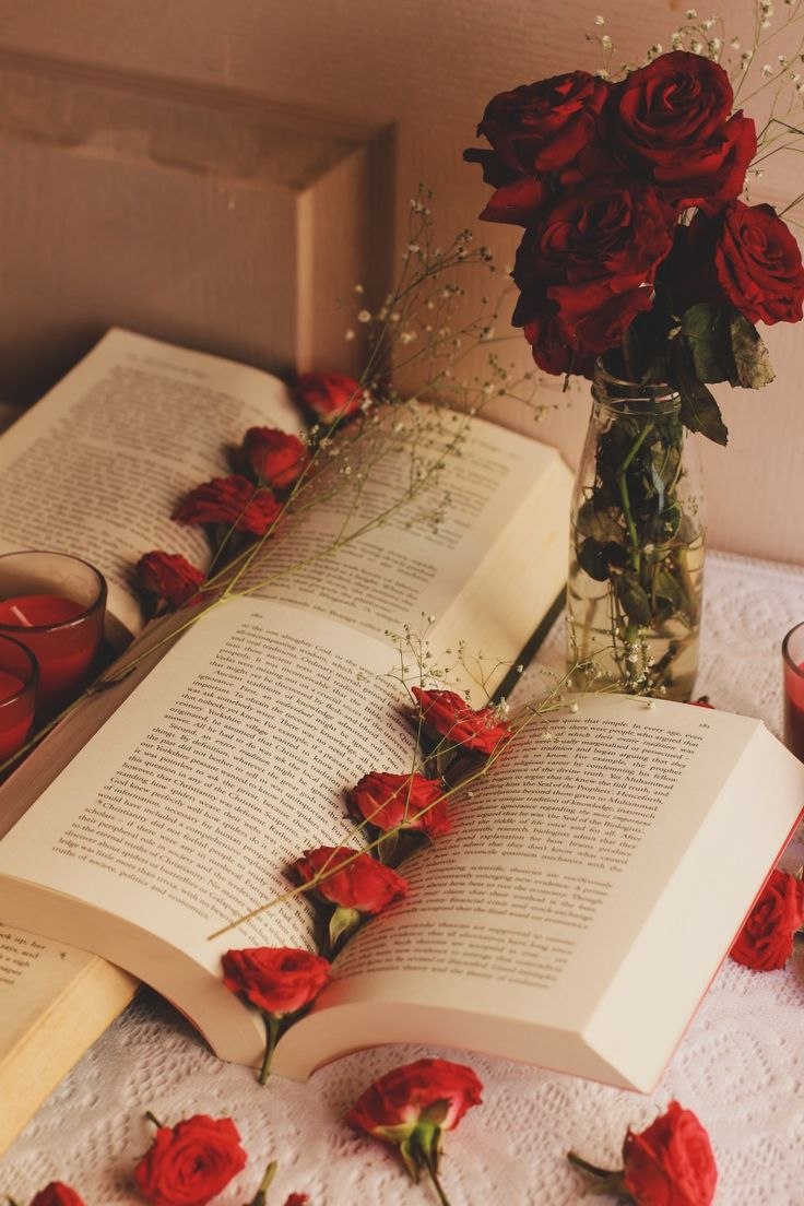 Эстетичный фон книги