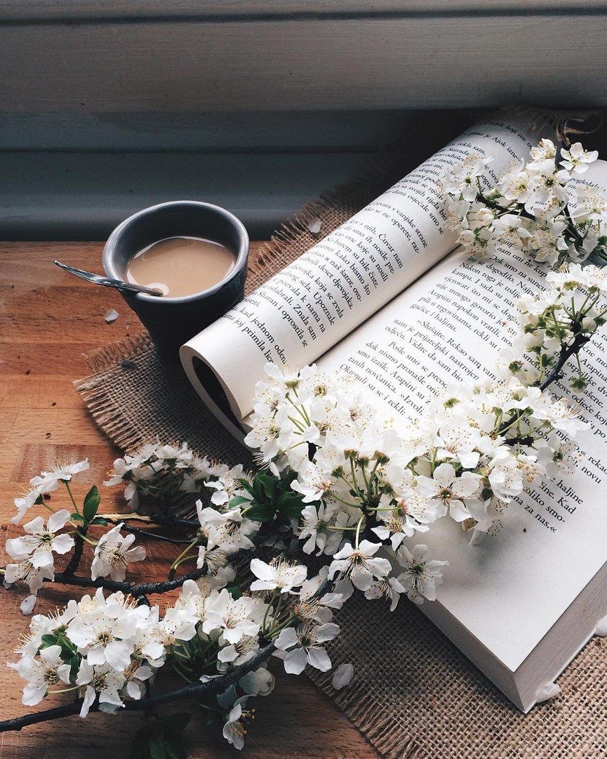 Книги Эстетика