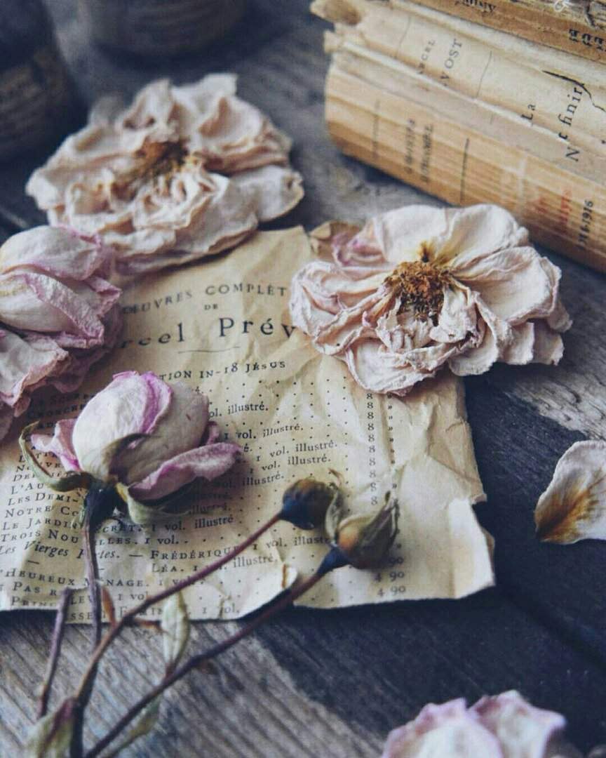 Стопка книг