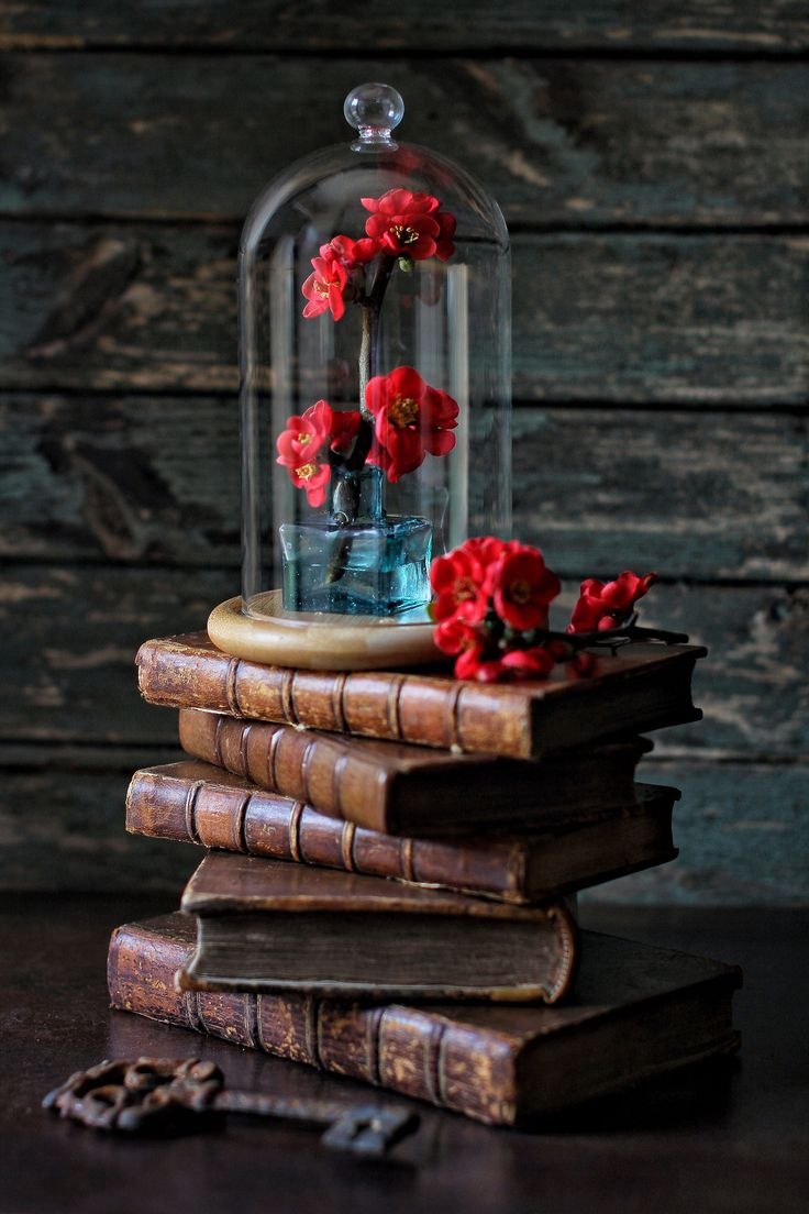Чтение книг и кофе