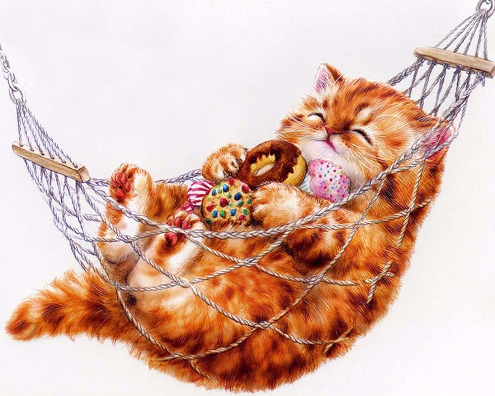 Колпаки кот