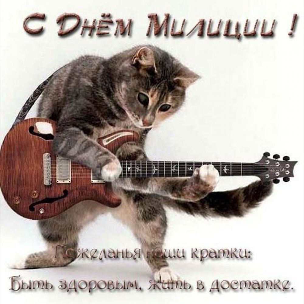 С днём рождения рыжие коты