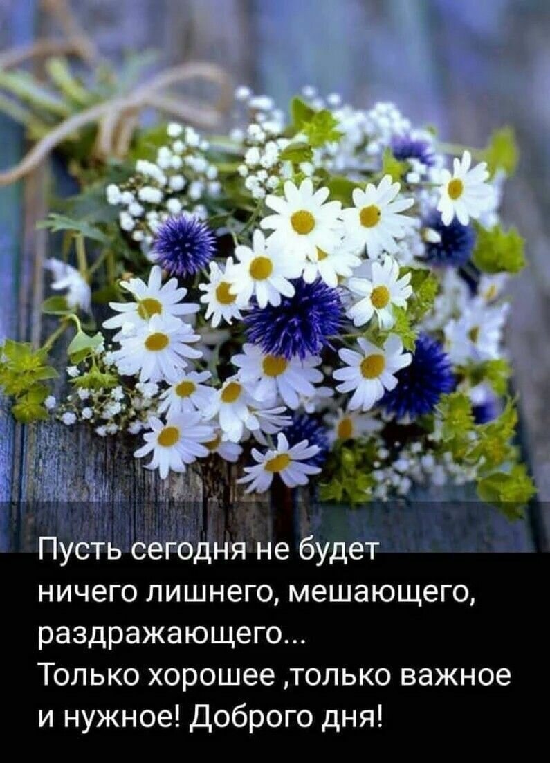 Открытки с добрым утром с полевыми цветами
