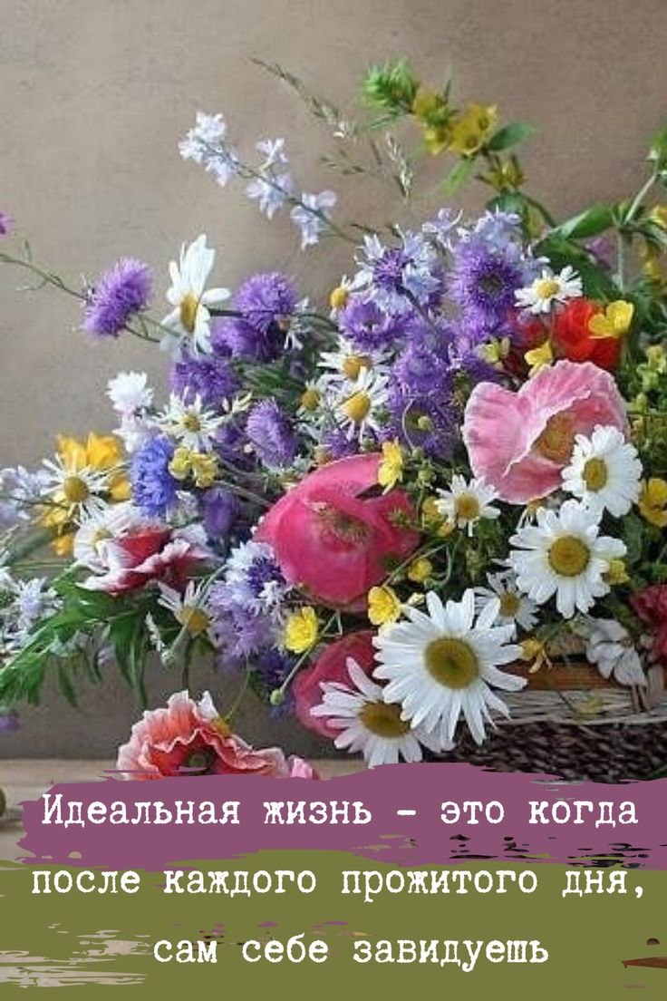 Добрый день полевые цветы
