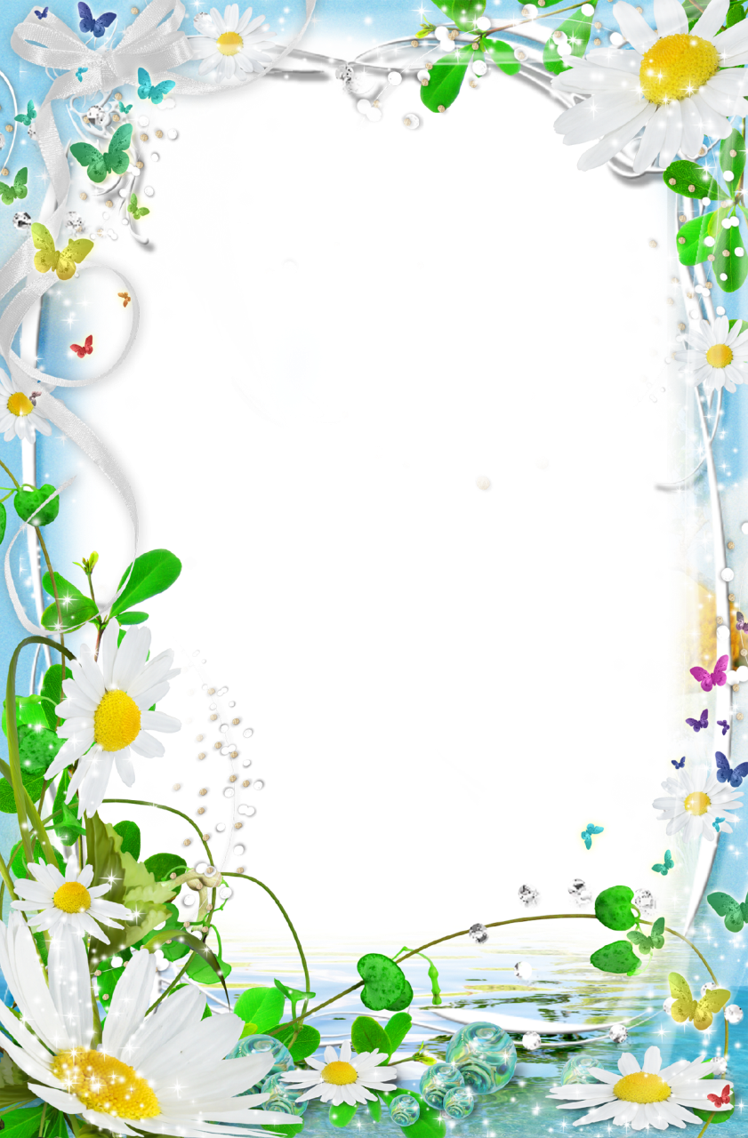 Летняя рамка для текста
