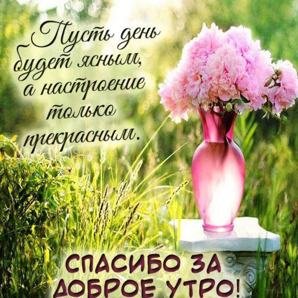 С добрым счастливым утром Веселые картинки