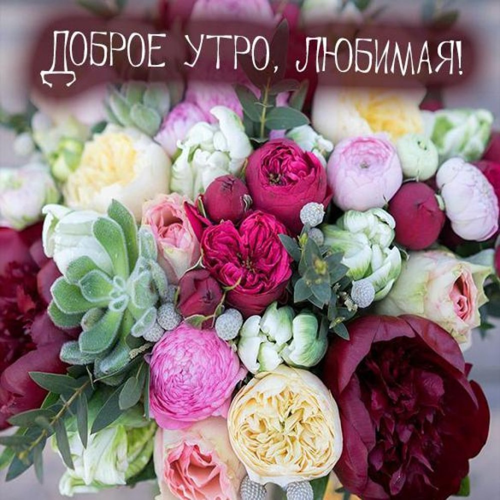 Доброе утро свекровь