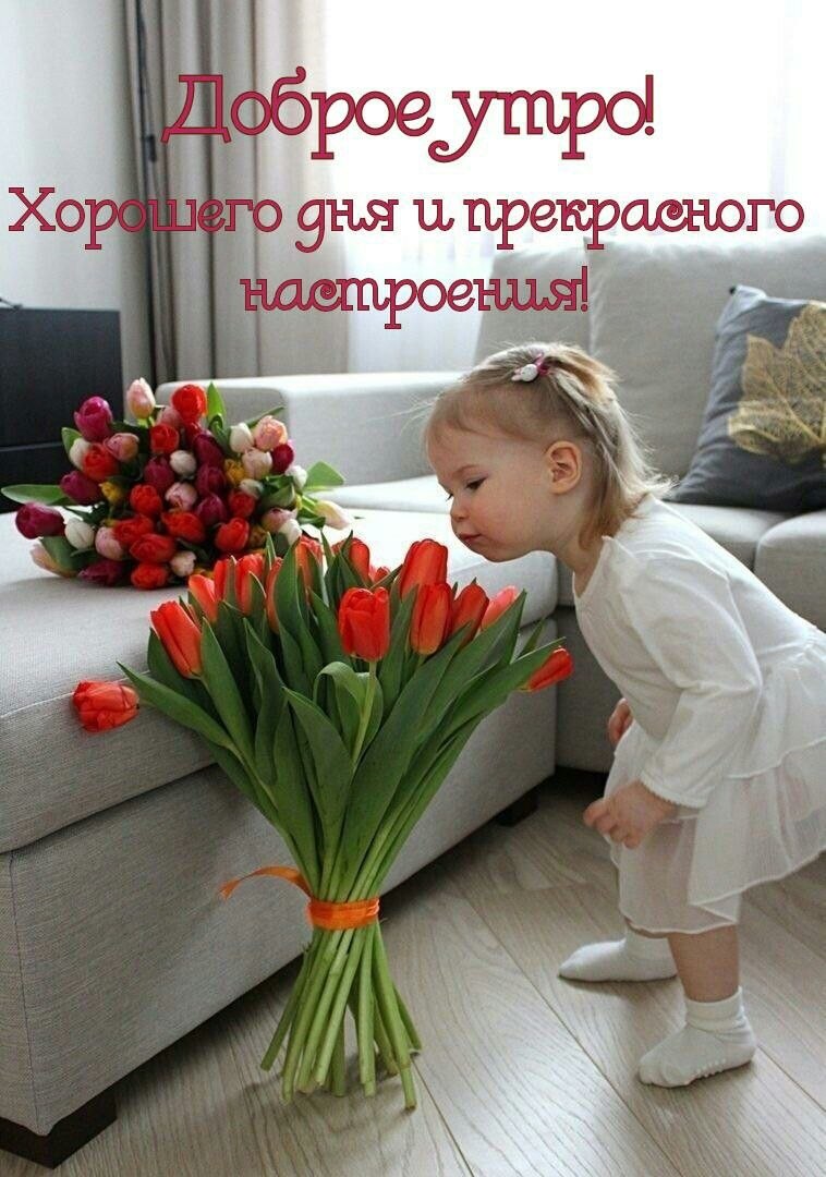 Пятница, 1 июля доброе утро картинки