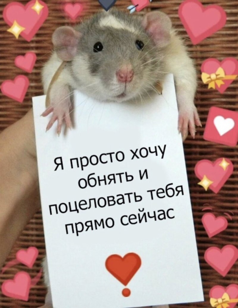 Милые пикчи для любимого человека