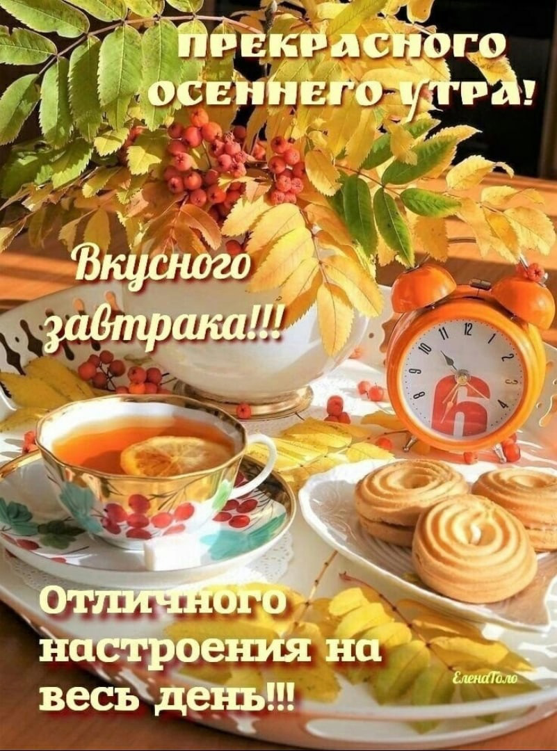 Открытки с понедельником прикольные